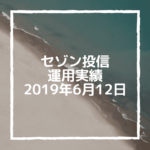 【セゾン投信】2019年6月12日  運用実績