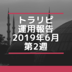 【FX】トラリピ 2019年6月第2週の運用実績
